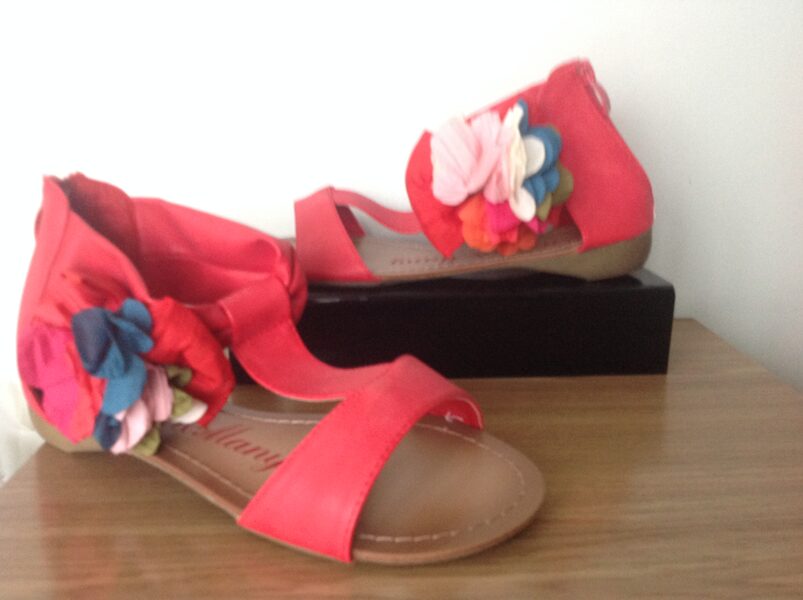 Žemapadės basutės